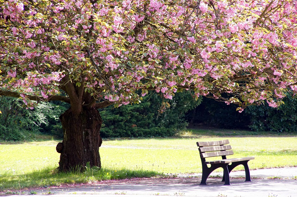 Merkur wandert von 6. April bis 22. Mai 2016 durch das Zeichen des Stiers