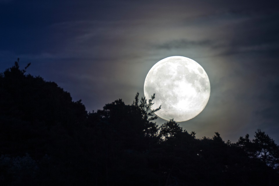 Vollmond auf der Stier – Skorpion – Achse 14. November 2016