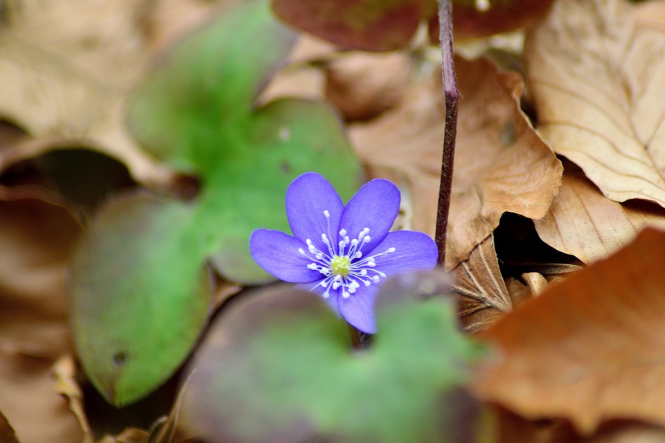 Zeitqualität, Donnerstag 13. April