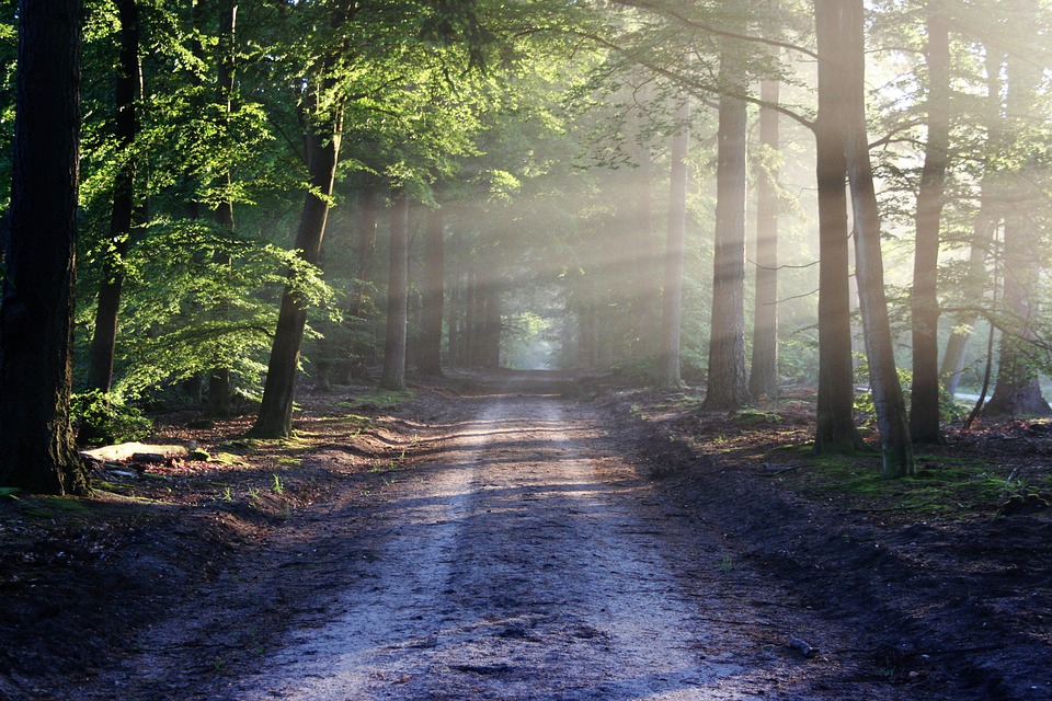 Zeitqualität, Donnerstag 26. Juli 2018